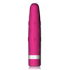 Vibrator "Sinfive - Insigno Rasphber"