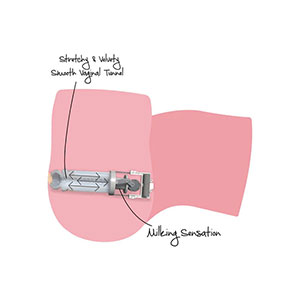 Masturbator Big Ass Milking Bitch