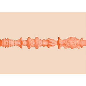 Fleshlight girls: Usta Mie Malkove