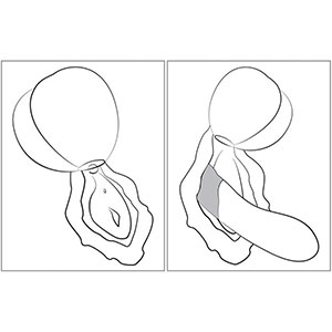 Stimulator za ženske Pink Peach