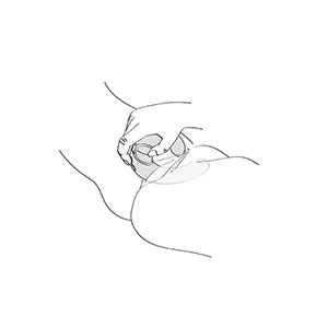 Vibrator Shunga Miyo