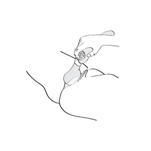 Vibrator Shunga  Zoa