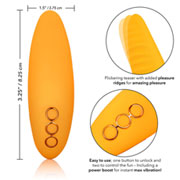 Vibrator Hollywood Hottie