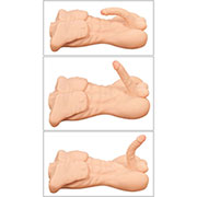 Moški torzo DELUXE MAN